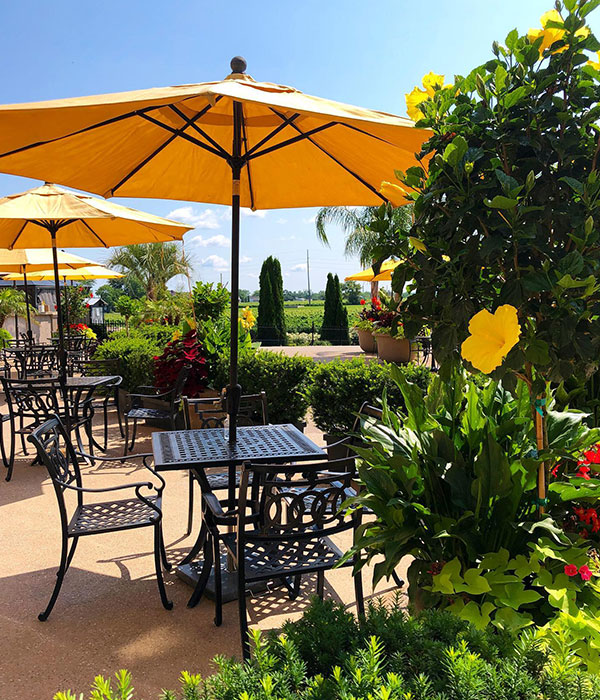 Your table awaits at the Piazza Colaneri