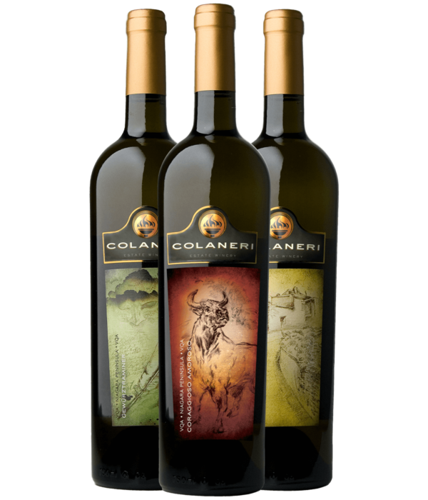 Wine Club - Mixed