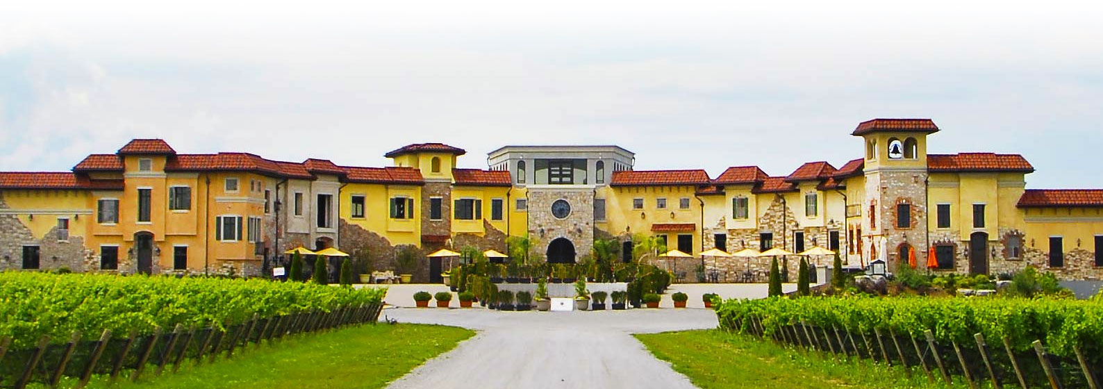 Colaneri Estate Winery