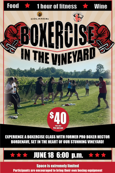 Boxercise in the Vineyard