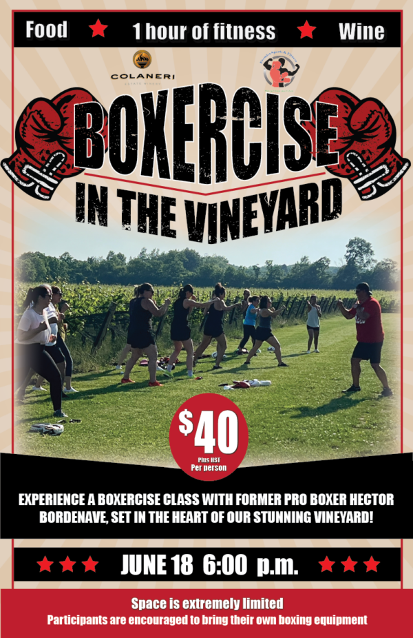 Boxercise in the Vineyard